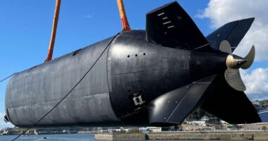 The UK Royal Navy's Cetus Extra Large Unmanned Underwater Vehicle (XLUUV). Photo: MSubs Ltd.