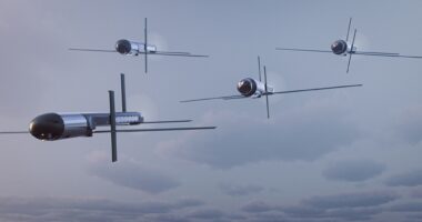 Mayhem 10 multirole unmanned aerial systems