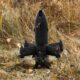 The SkyFall P1-SUN interceptor drone in a field configuration. Photo: SkyFall