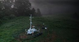 The SkyValor counter-unmanned aerial system